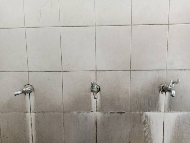 Best Carpet water damage restoration  in Hamburg, IA