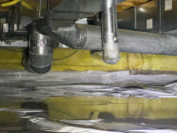Best Flood damage cleanup  in Hamburg, IA